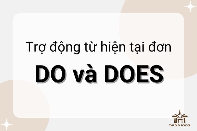 tro-dong-tu-cua-hien-tai-don